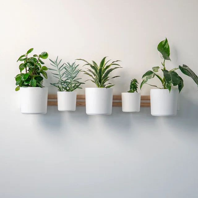 Horizontales Wandpflanzgefäß-Modul