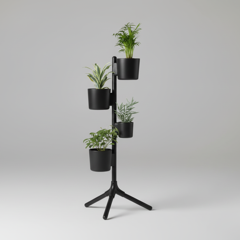 Aziz Dominik (1 adet 10 cm ve 3 adet 15 cm saksı içerir.)