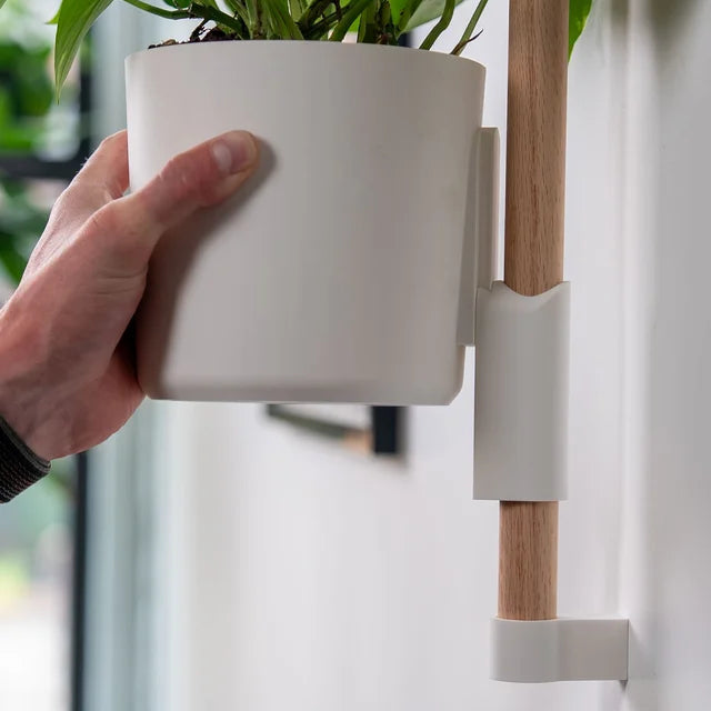 Lotus Saksı (1 adet 10 cm ve 3 adet 15 cm saksı içerir.)