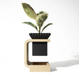 Minimal Daka Saksı 15CM
