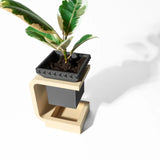 Minimal Daka Saksı 15CM