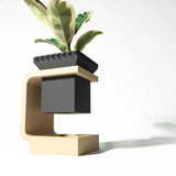 Minimal Daka Saksı 15CM