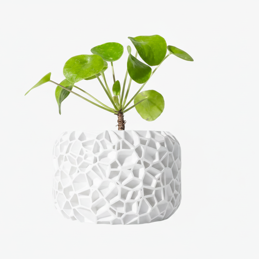 Minimal Viro Saksı