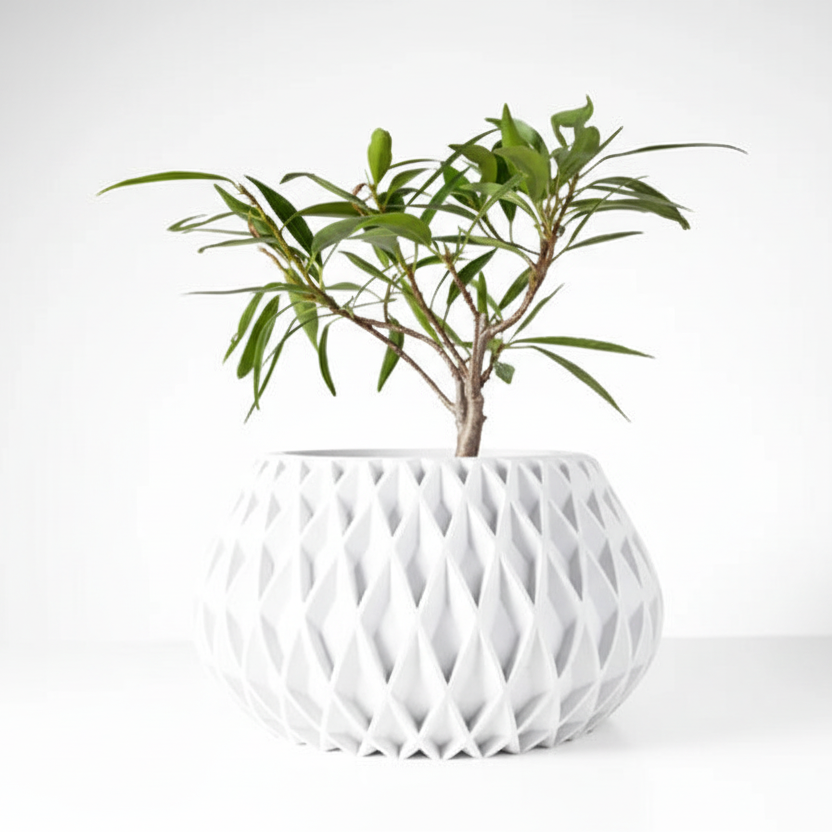 Rivio  Saksı 15cm